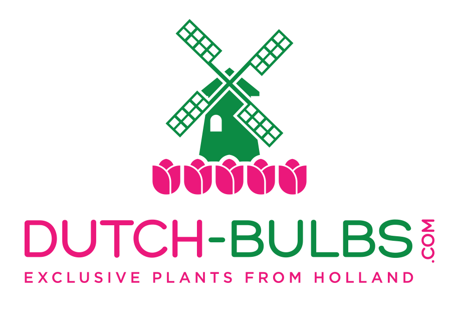 Growing Herbs Tips and Tricks