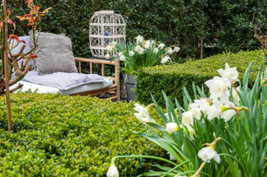 Contemporary white garden with flower bulbs