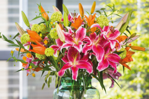 Flowering lilium bulbs