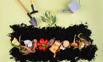 Composting 101: How to Start a Compost Pile