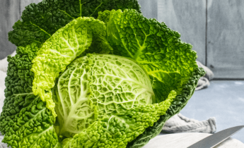 Nejlepší zelenina k pěstování na konci zimy: nejlepší plodiny pro brzký start