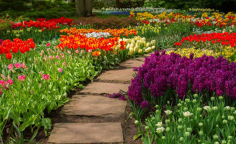 Best Practices for Maintaining Garden Beds and Borders