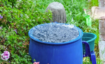 Recolha de água da chuva em casa: Um guia para principiantes