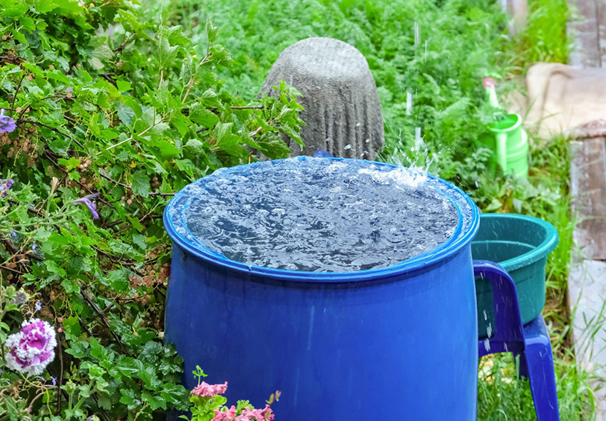 Depósitos de agua de lluvia para tu jardín o casa