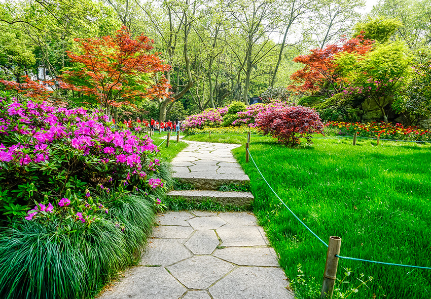 Fotografia de jardim de verão