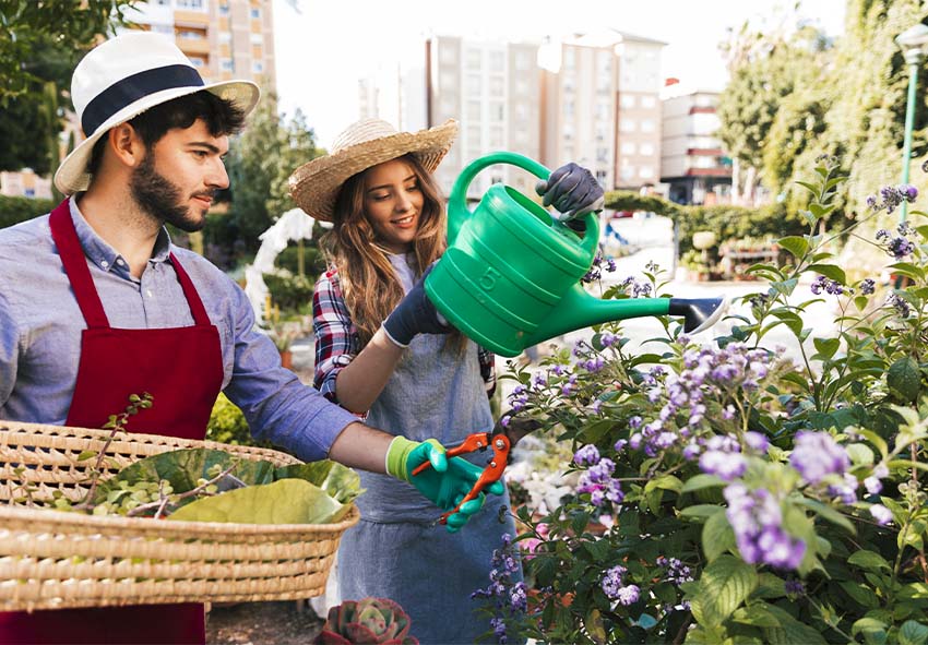 plantação de jardim urbano