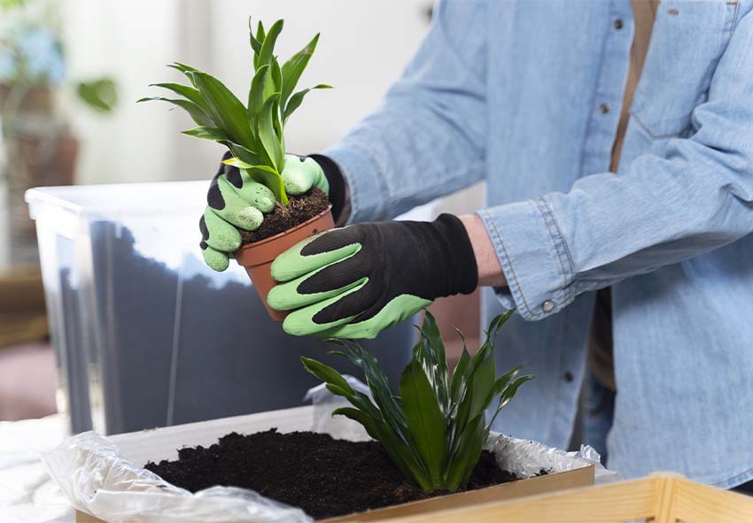 Gartenbeete für den Winter vorbereiten