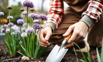 Desvelando el momento oportuno: Directrices de los expertos para plantar Alliums