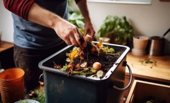 What to Do with Compost in Winter: The Last Steps of Preparation