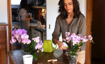 Wie man Orchideen vermehrt: Einfache Methoden für gesundes Wachstum