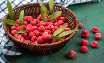 Cómo cultivar frambuesas: consejos para plantarlas y cuidarlas y obtener una cosecha dulce