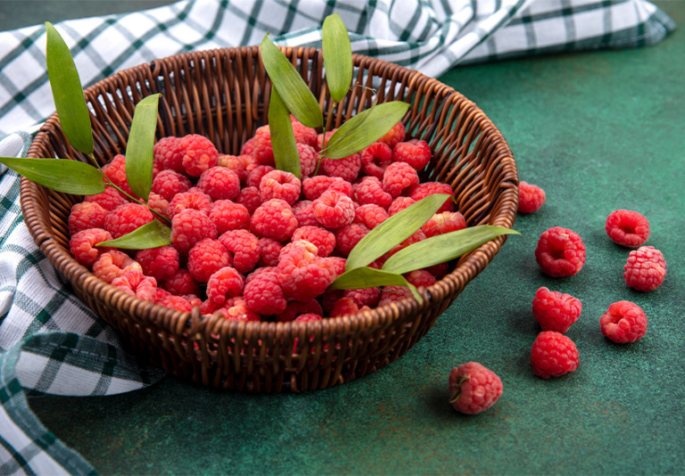 How to Grow Raspberries: Planting, Care, and Pruning Tips
