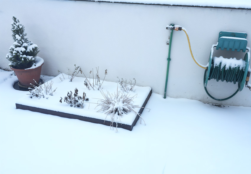 Humidité du jardin d'hiver Meilleures pratiques pour arroser les plantes en hiver