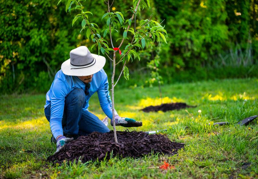 Συντήρηση εργαλείων κήπου τον Μάιο