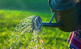 Συντήρηση κήπου τον Μάιο: Βασικές εργασίες για έναν ανθισμένο καλοκαιρινό κήπο