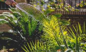 Guía de riego para el jardín en verano: mejores prácticas para flores, hortalizas y arbustos