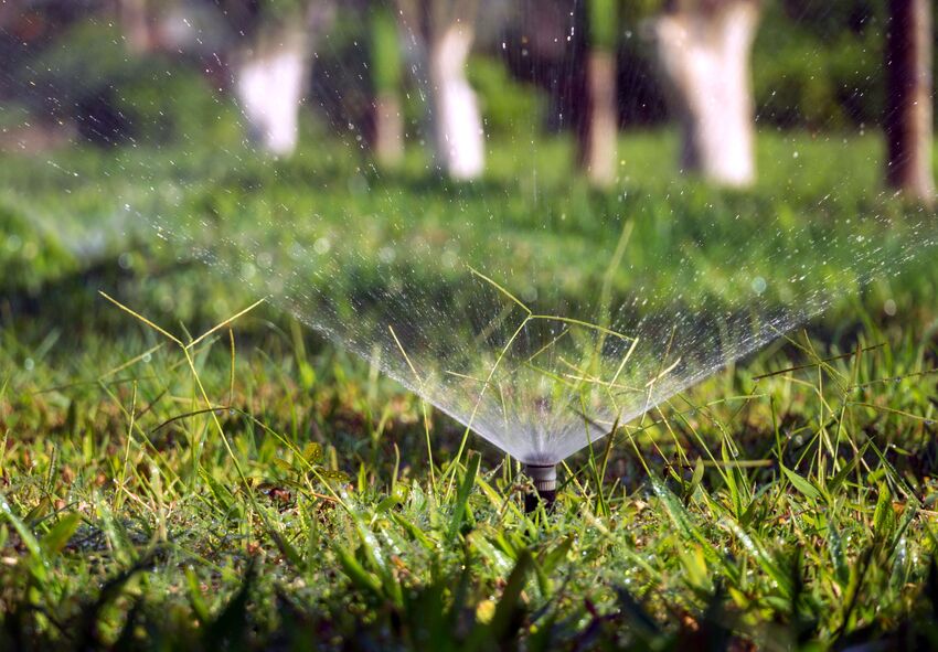 Consejos para ahorrar agua en los jardines de verano