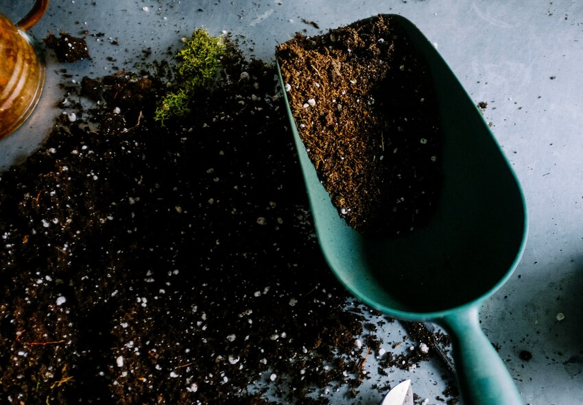 Why Fall Soil Preparation Is Important