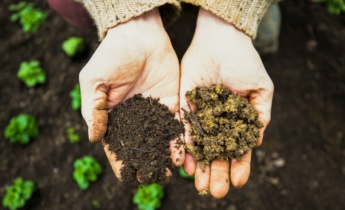 Garden Soil Maintenance in Fall: Healthy Spring Planting Preparation