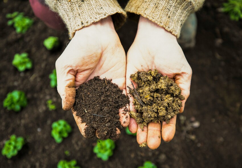How to Protect Garden Soil During Winter