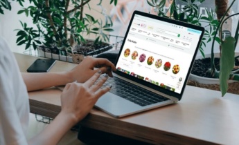Sådan køber du tulipanløg online: En komplet tjekliste, før du afgiver en bestilling