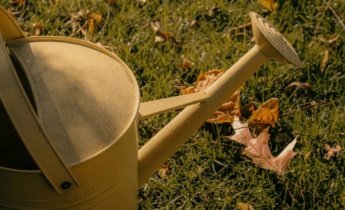 Manutenzione del giardino a settembre: attività fondamentali per un giardino autunnale rigoglioso