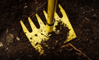 Terreau de jardin : comment bien préparer le sol pour planter des bulbes à fleurs en automne