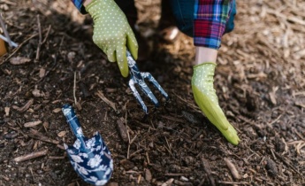 Je bloementuin winterklaar maken: mulchen en vorstbescherming